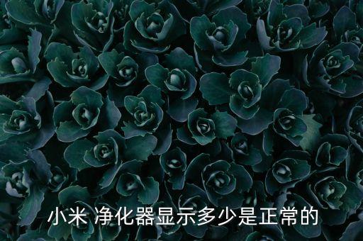  小米 凈化器顯示多少是正常的