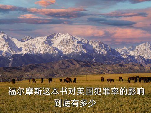 福爾摩斯 數(shù)據(jù),hh福爾摩斯