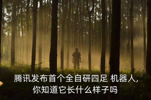  騰訊發(fā)布首個全自研四足 機(jī)器人,你知道它長什么樣子嗎