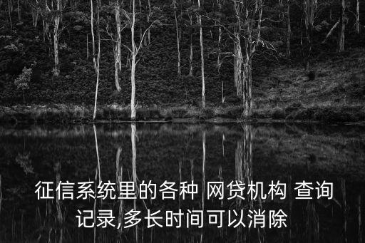網(wǎng)貸大數(shù)據(jù)征信查詢,不看大數(shù)據(jù)不看征信的網(wǎng)貸