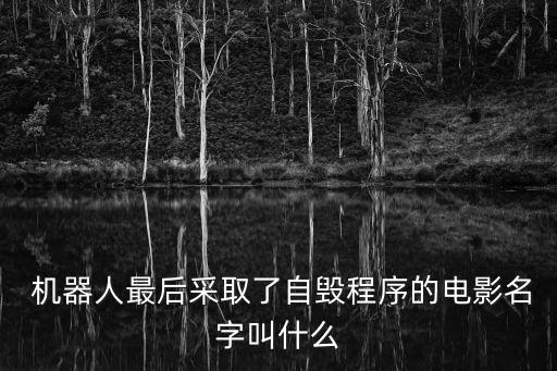  機(jī)器人最后采取了自毀程序的電影名字叫什么