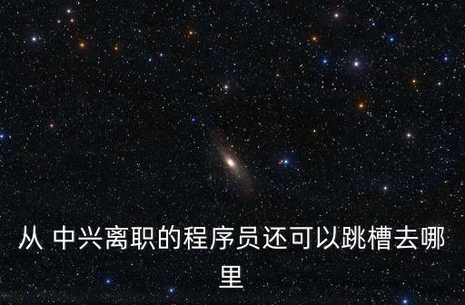 從 中興離職的程序員還可以跳槽去哪里