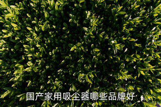 國產(chǎn)家用吸塵器哪些品牌好