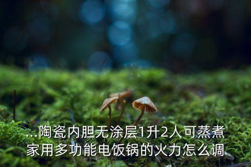 ...陶瓷內(nèi)膽無涂層1升2人可蒸煮家用多功能電飯鍋的火力怎么調(diào)