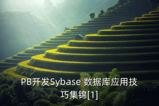 PB開發(fā)Sybase 數(shù)據(jù)庫應(yīng)用技巧集錦[1]