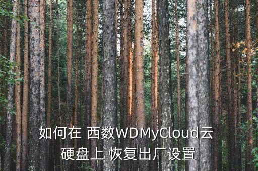 如何在 西數(shù)WDMyCloud云 硬盤上 恢復(fù)出廠設(shè)置