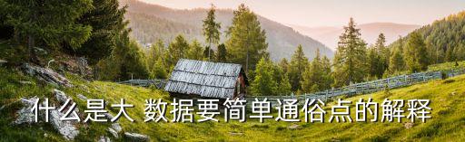 什么是大 數(shù)據(jù)要簡單通俗點的解釋