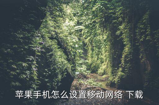 蘋(píng)果手機(jī)怎么設(shè)置移動(dòng)網(wǎng)絡(luò) 下載