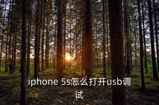 5s如何開數(shù)據(jù)連接電腦上