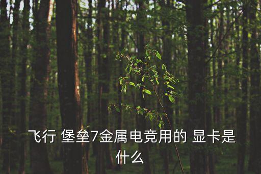  飛行 堡壘7金屬電競(jìng)用的 顯卡是什么
