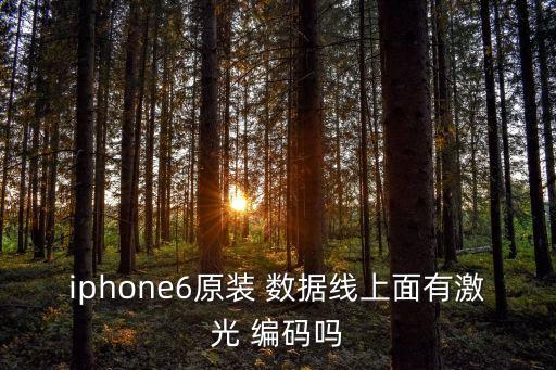 iphone6原裝 數(shù)據(jù)線上面有激光 編碼嗎