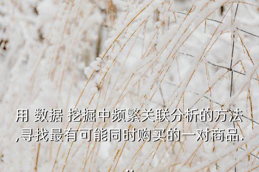 數(shù)據(jù)挖掘 實施商