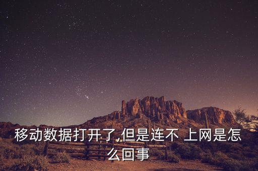 移動(dòng)數(shù)據(jù)打開(kāi)了,但是連不 上網(wǎng)是怎么回事