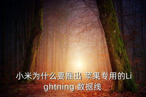  小米為什么要推出 蘋果專用的Lightning 數(shù)據(jù)線