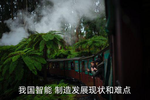 機(jī)器人制造的難題,中國(guó)機(jī)器人制造水平