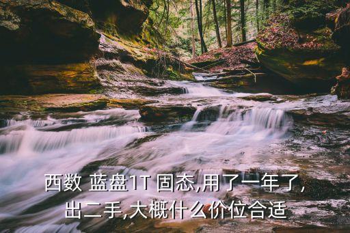 西部數(shù)據(jù) 藍(lán)盤 固態(tài)