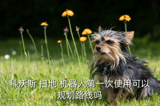 科沃斯 掃地 機器人第一次使用可以規(guī)劃路線嗎