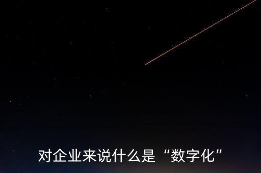 對(duì)企業(yè)來(lái)說(shuō)什么是“數(shù)字化”