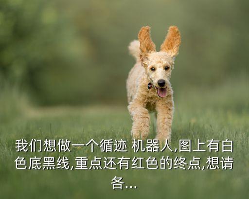 我們想做一個(gè)循跡 機(jī)器人,圖上有白色底黑線,重點(diǎn)還有紅色的終點(diǎn),想請(qǐng)各...