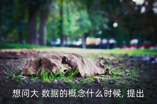 大數(shù)據(jù)最早哪一年提出