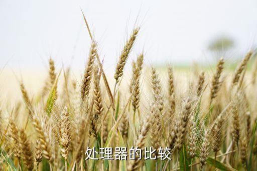 cpu數(shù)據(jù)對比