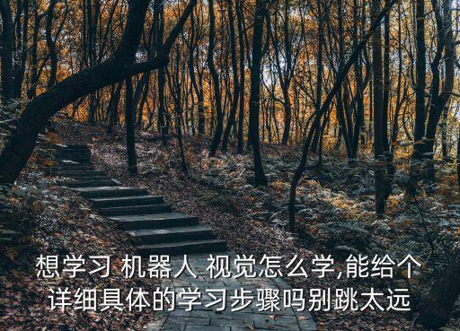 想學(xué)習(xí) 機(jī)器人 視覺怎么學(xué),能給個(gè)詳細(xì)具體的學(xué)習(xí)步驟嗎別跳太遠(yuǎn)