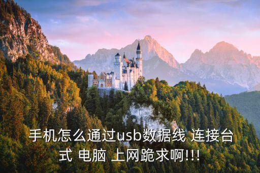  手機怎么通過usb數(shù)據(jù)線 連接臺式 電腦 上網(wǎng)跪求啊!!!