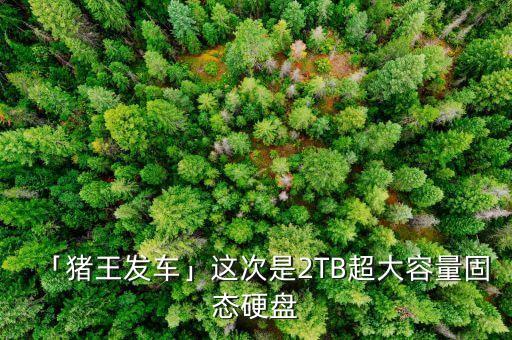 「豬王發(fā)車」這次是2TB超大容量固態(tài)硬盤