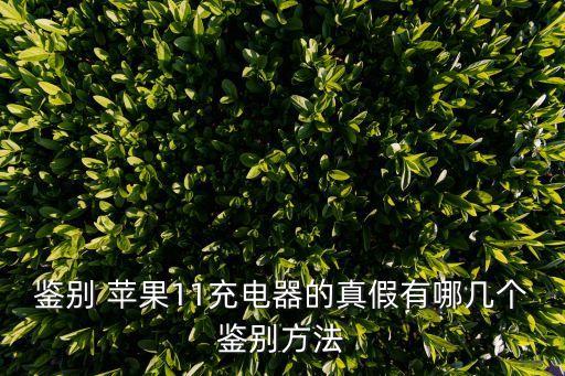 蘋果數(shù)據(jù)線上真假辨別真假,蘋果充電器和數(shù)據(jù)線怎么辨別真假