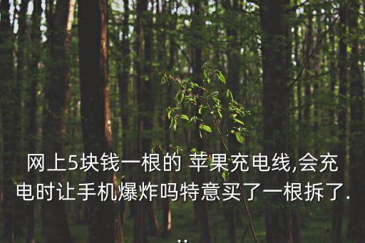蘋果數據線 拆開