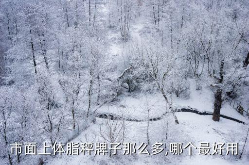 市面上體脂秤牌子那么多,哪個最好用