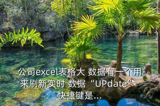 公司excel表格大 數(shù)據(jù)有一個用來刷新實時 數(shù)據(jù)“UPdate” 快捷鍵是...