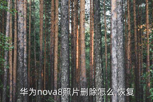  華為nova8照片刪除怎么 恢復(fù)