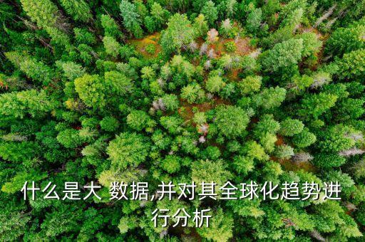 什么是大 數(shù)據(jù),并對(duì)其全球化趨勢(shì)進(jìn)行分析
