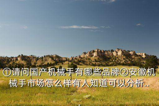 ①請問國產機械手有哪些品牌②安徽機械手市場怎么樣有人知道可以分析...