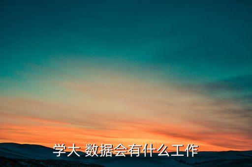 學(xué)大 數(shù)據(jù)會(huì)有什么工作