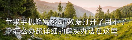 蘋果手機蜂窩移動 數(shù)據(jù)打開了用不了怎么辦超詳細的解決辦法在這里
