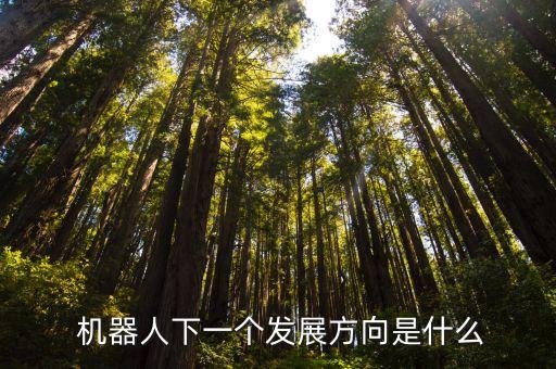  機器人下一個發(fā)展方向是什么