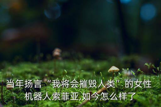 當(dāng)年揚(yáng)言“我將會(huì)摧毀人類”的女性 機(jī)器人索菲亞,如今怎么樣了