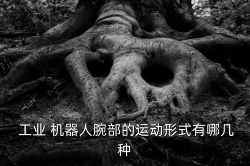 工業(yè)機(jī)器人的手臂