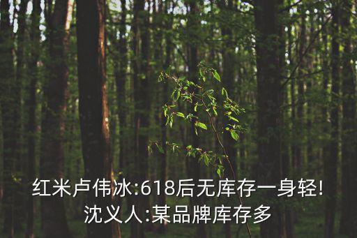 紅米盧偉冰:618后無庫存一身輕!沈義人:某品牌庫存多