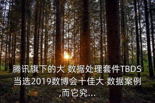 騰訊旗下的大 數(shù)據(jù)處理套件TBDS當(dāng)選2019數(shù)博會(huì)十佳大 數(shù)據(jù)案例,而它究...