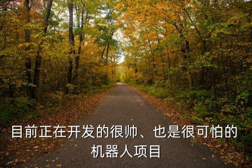 超仿真機(jī)器人sophia