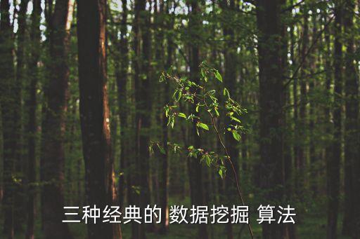 三種經(jīng)典的 數(shù)據(jù)挖掘 算法