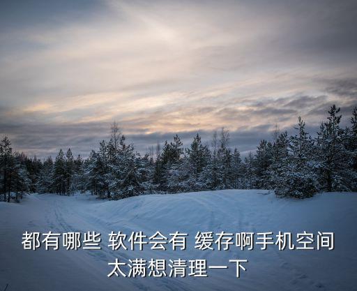 都有哪些 軟件會有 緩存啊手機空間太滿想清理一下