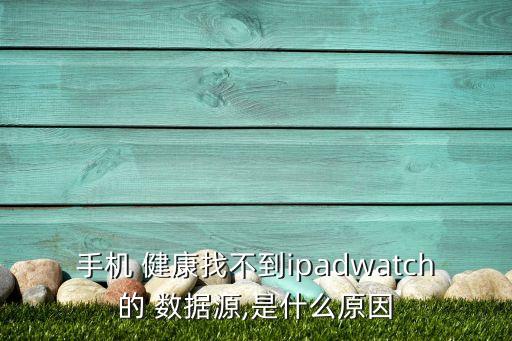 手機(jī) 健康找不到ipadwatch的 數(shù)據(jù)源,是什么原因