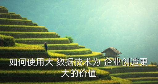 如何使用大 數(shù)據(jù)技術(shù)為 企業(yè)創(chuàng)造更大的價值
