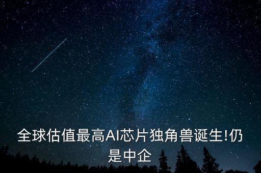 全球估值最高AI芯片獨(dú)角獸誕生!仍是中企