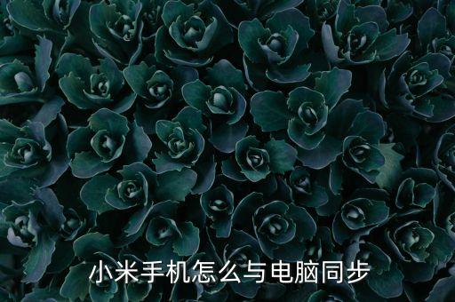 哪里設(shè)置小米云自動(dòng)備份,系統(tǒng)和更新在設(shè)置的哪里小米手機(jī)