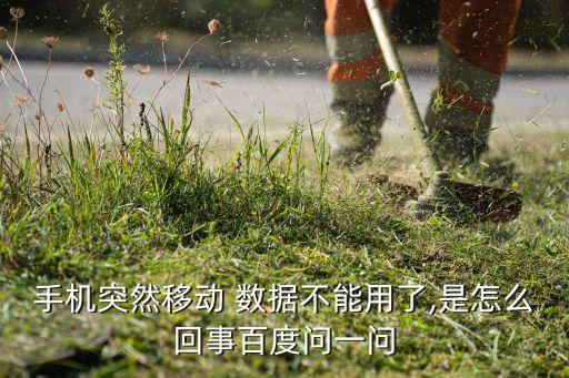 移動(dòng)數(shù)據(jù)按鈕開不了怎么辦